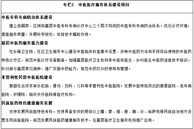 中醫醫療服務(wù)體系建設項目