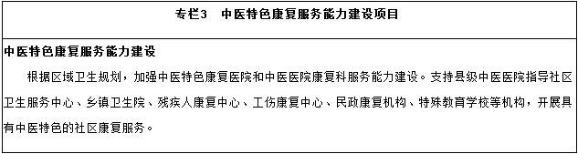 中醫特色康復服務(wù)能力建設項目