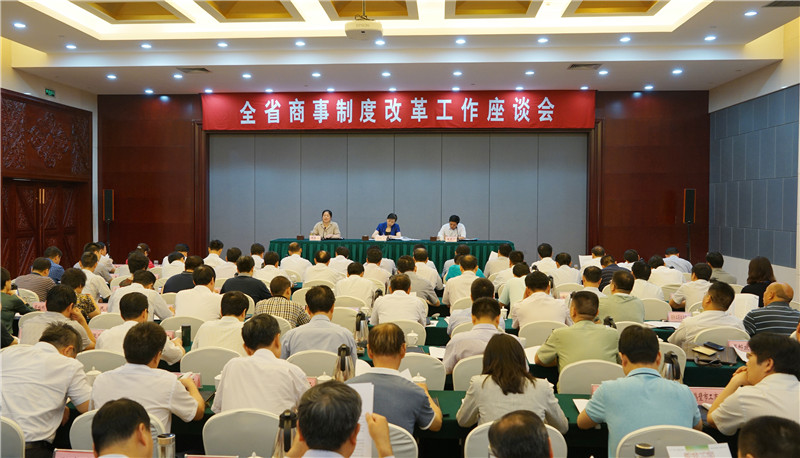 河南省政府召開(kāi)全省商事制度改革工作座談會(huì )