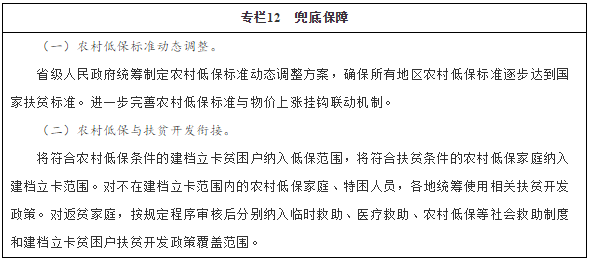 專(zhuān)欄12　兜底保障