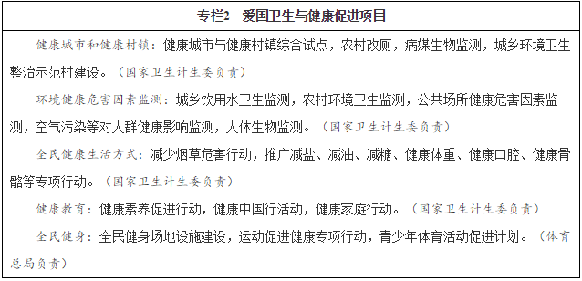 專(zhuān)欄2　愛(ài)國衛生與健康促進(jìn)項目