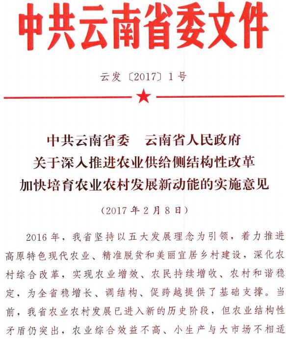 云發(fā)〔2017〕1號《中共云南省委云南省人民政府關(guān)于深入推進(jìn)農業(yè)供給側結構性改革加快培育農業(yè)農村發(fā)展新動(dòng)能的實(shí)施意見(jiàn)》