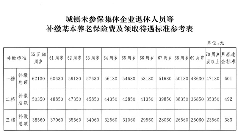 城鎮未參保集體企業(yè)退休人員等補繳基本養老保險費及領(lǐng)取待遇標準參考表
